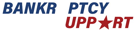 US Bankruptcy Support
